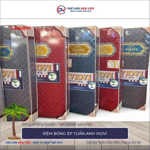 Đệm bông ép Tuấn Anh VIOVI 3